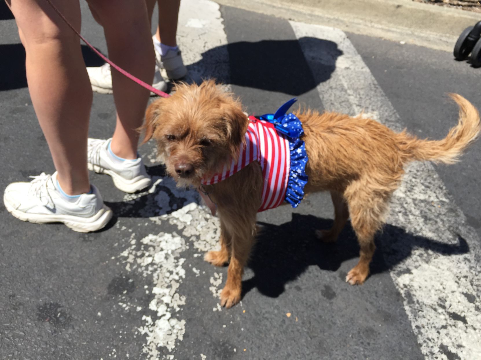 Napa Fourth of July Parade 2017